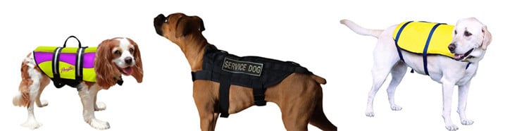 Dog Life Vests