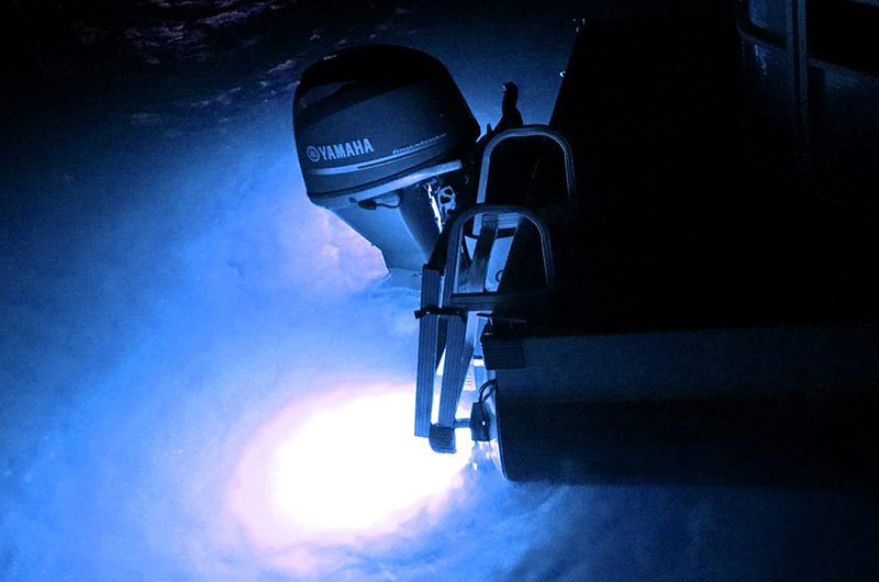 Lumetic Lumitec 101459 Zambezi Quattro Surface Mount Underwater Light
